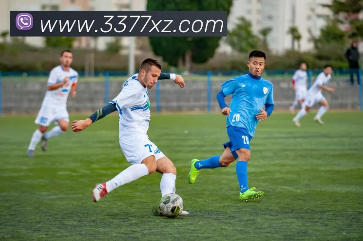 3377体育app发展历程